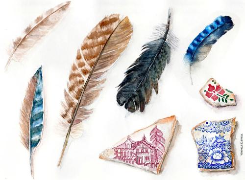 Plumes d'oiseaux et morceaux d'assiettes à l'aquarelle par véronique chevreul